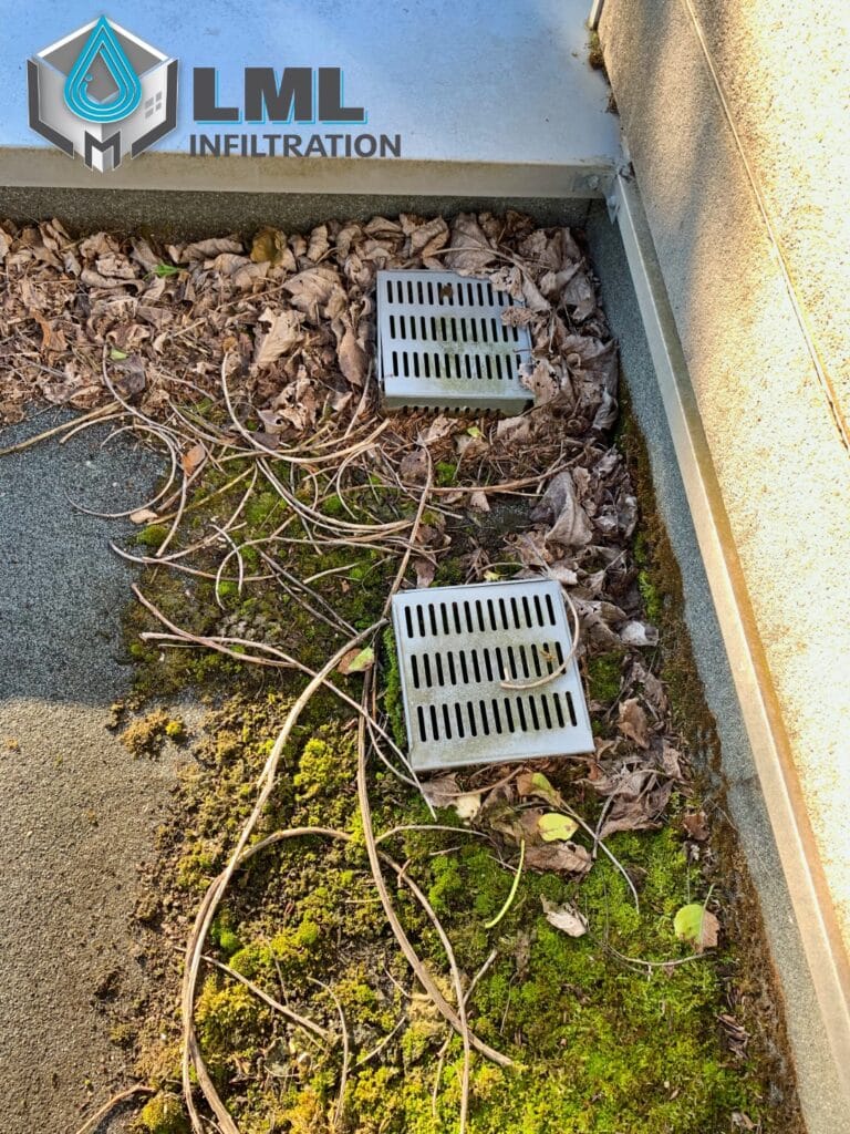 Entretien toiture terrasse évacuation pluviale